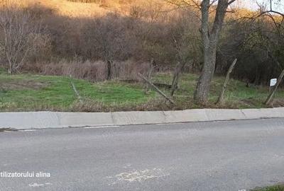 Teren de 5000 mp, în Ghercești - 10