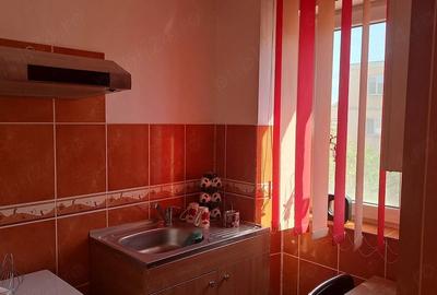 Garsonieră semidecomandată în Dacia - 3