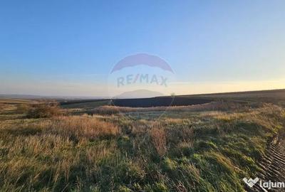 Teren de 30077 mp, în Stroiești - 14