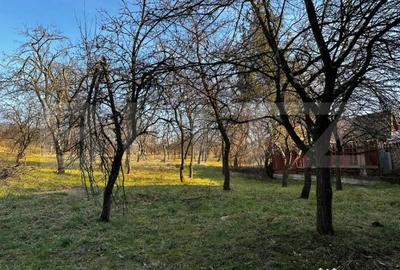Casă cu 4 camere cu Teren 2500 Mp în Hurez - 9