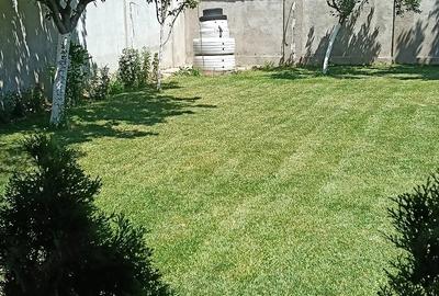 Casă cu 6 camere în Șimian - 10
