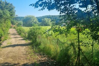 Teren extravilan de 90000 mp, în Corunca - 5