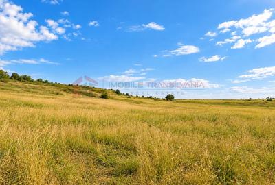 Teren Construcții intravilan de 3800 mp, în Pădureni (Chinteni)