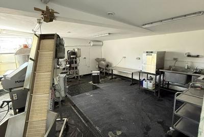 Spațiu comercial, de 170 mp, în Kamsas - 5
