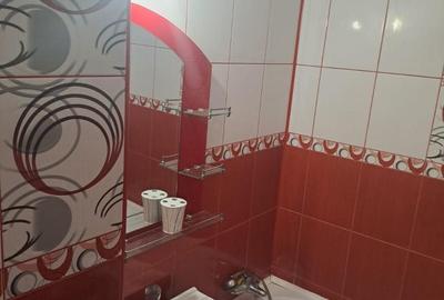 Apartament cu 2 camere semidecomandat în Brazda lui Novac - 2