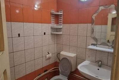 Garsonieră în Craiovița Nouă - 2