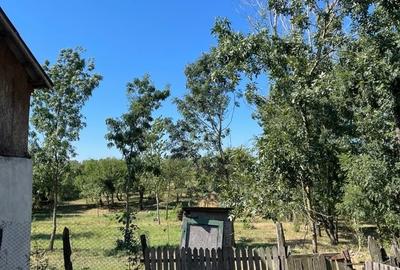 Casă cu 3 camere cu Teren 4200 Mp în Gliganu de Sus - 3