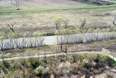 Teren agricol intravilan de 22500 mp, în Balinț - 7