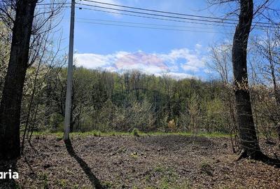 Teren de 10000 mp, în Vânători-Neamț - 9
