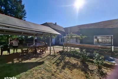 Casă cu 6 camere cu Teren 5766 Mp în Variaș - 7