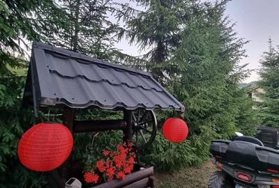 Casă cu 4 camere cu Teren 4800 Mp în Vama - 6