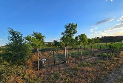 Teren de 400 mp, în Victoria