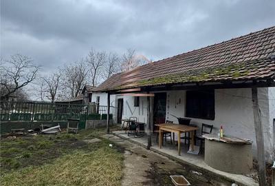 Casă cu 4 camere cu Teren 2000 Mp în Vest - 6