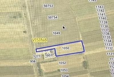 Teren de 5000 mp, în Vișina