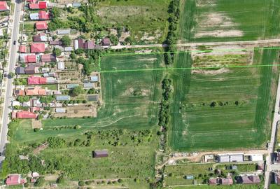 Teren Construcții intravilan de 7600 mp, în Dumbrăveni - 4