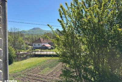 Casă cu 4 camere cu Teren 7247 Mp în Băița - 11
