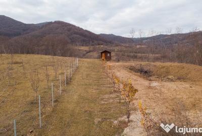 Teren de 5200 mp, în Mărunțișu