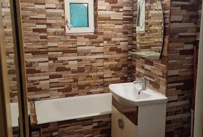 Apartament cu 2 camere semidecomandat în Malu Roșu - 15