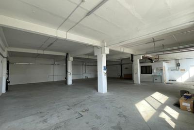 Spațiu industrial, de 363 mp, în Freidorf - 4