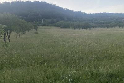 Teren de 2056 mp, în Mihăileni