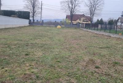 Teren de 1000 mp, în Vernești - 3
