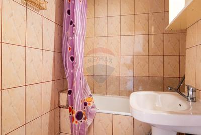 Apartament cu 4 camere decomandat, mobilat în Doamna Ghica - 21