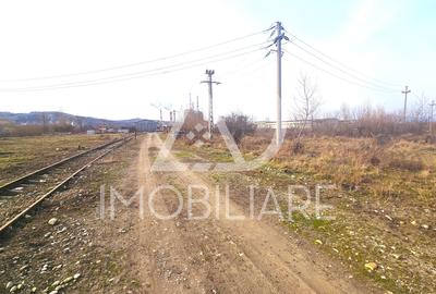Teren Construcții intravilan de 12000 mp, în Rovinari - 11