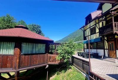 Casă cu 8 camere cu Teren 1000 Mp în Sadu - 7