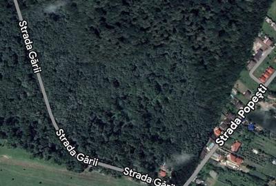 Spațiu comercial, în Șanțu-Florești - 2