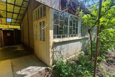Casă cu 3 camere cu Teren 6674 Mp în Macea - 6