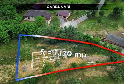 Teren Construcții intravilan de 1170 mp, în Cărbunari - 3