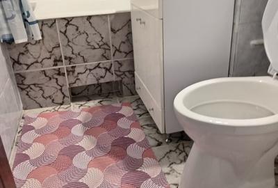 Apartament cu 2 camere decomandat în Astra