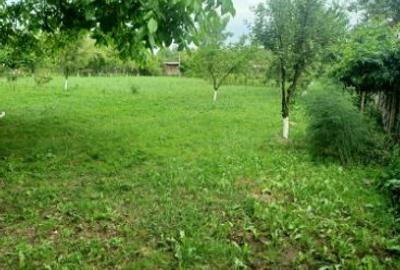 Teren Construcții intravilan de 3413 mp, în Gheorghe Doja - 4
