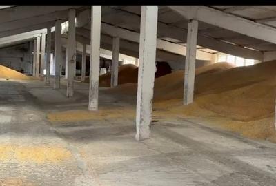 Teren Construcții intravilan de 17000 mp, în Cetății - 4