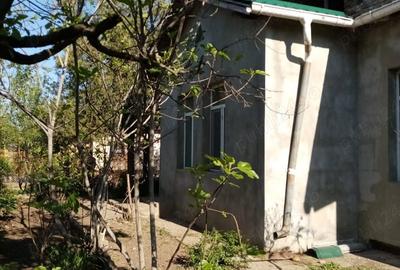 Casă cu 5 camere cu Teren 1717 Mp în Corabia - 7