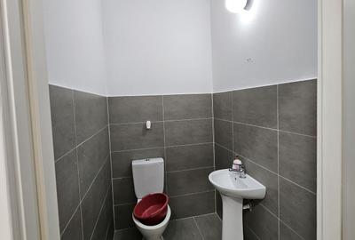 Spațiu comercial, de 150 mp, în Iosia