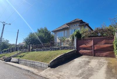 Casă cu 3 camere cu Teren 8000 Mp în Central