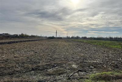 Teren Construcții intravilan de 2500 mp, în Exterior Nord - 5