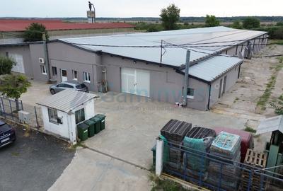 Spațiu industrial, de 2,196 mp, în Pecica - 6