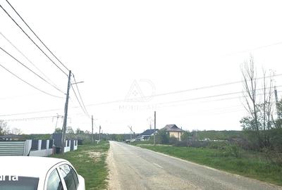 Teren de 5624 mp, în Dănești