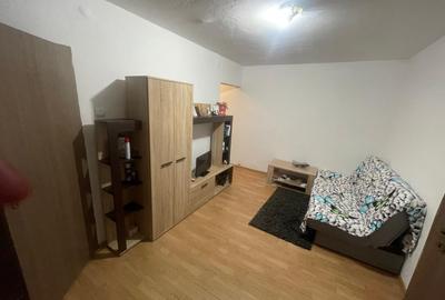 Apartament cu 2 camere semidecomandat în Valea Rosie