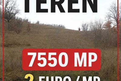 Teren de 7550 mp, în Mehadia