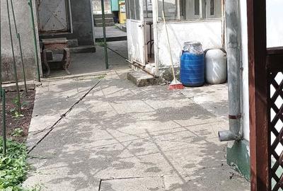 Casă cu 4 camere în Viile Noi - 1