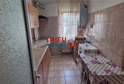 Apartament cu 2 camere decomandat în Cetate - 8