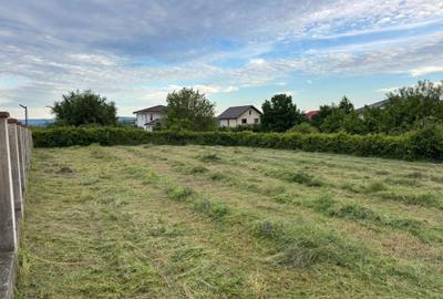Teren de 918 mp, în Viticultori - 6