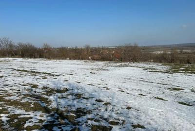 Teren de 1440 mp, în Murani - 3