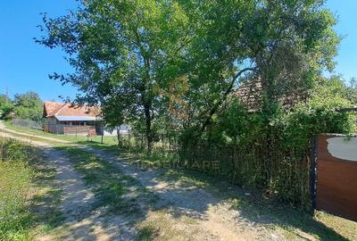 Casă individuală cu 5 camere cu Canalizare în Topa Mică - 18