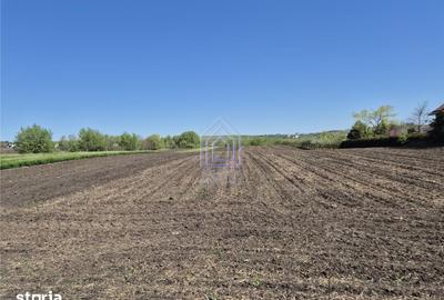 Teren de 5100 mp, în Moara - 2