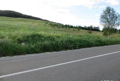 Teren de 3600 mp, în Gârcina - 2