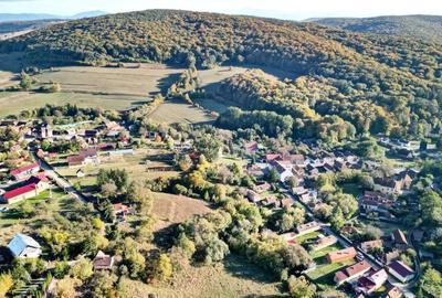 Teren Construcții intravilan de 2825 mp, în Vâlcele - 4